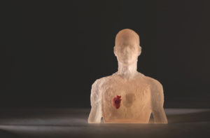 Damià Diaz_Transversal