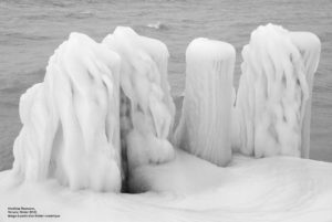 BGE_2018-GUIDE_BISES_GLACANTES-Thomann 18