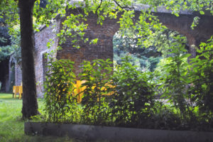 Erasme_Jardin_050716.Philo.IMG00656