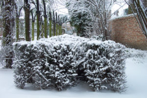 Erasme_Jardin_DCP_2313