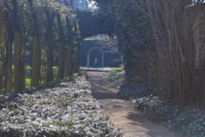 Erasme_Jardin_Haie_IMG02599