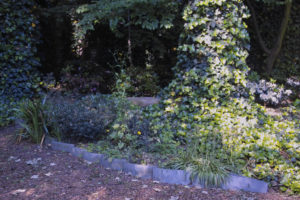 Erasme_Jardin_Louis_070811_IMG03283