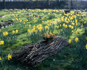 Erasme_Jardin_Louis_11-05-02