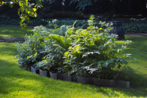 Erasme_Jardin_IMG03282