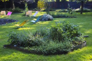 Erasme_Jardin_Louis_070811_IMG03284