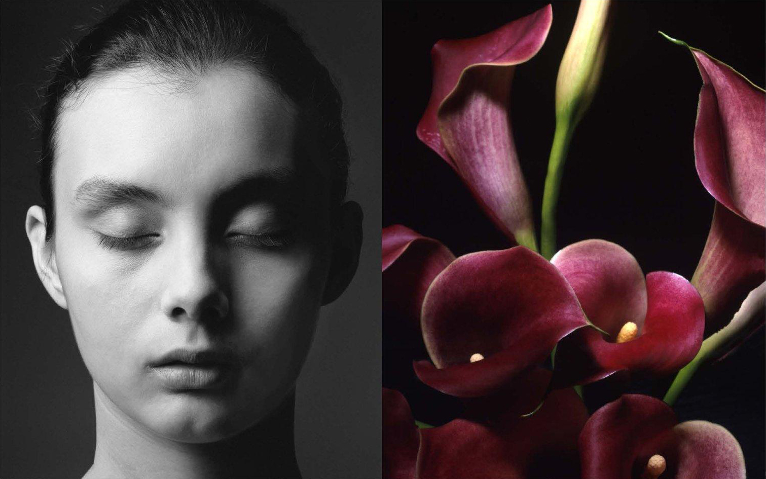 Lafontaine_Alice in the wonderland, 2013